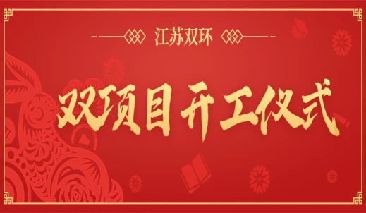 双环
