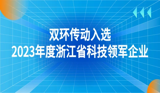 双环