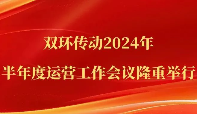 双环
